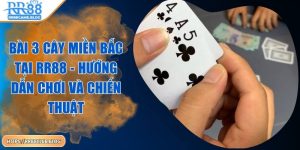 bai-3-cay-mien-bac