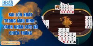 bai-lon-nhat-trong-mau-binh