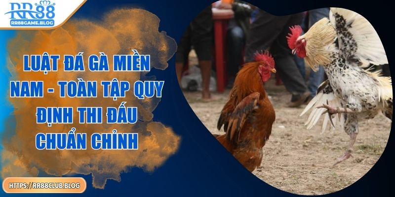 luat-da-ga-mien-nam