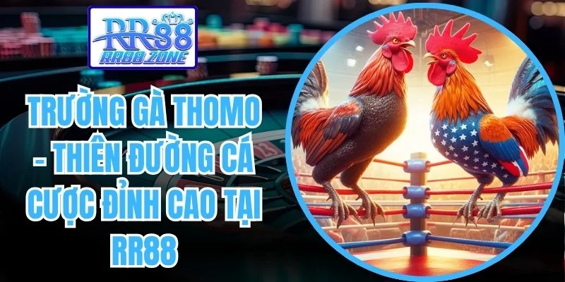 trường gà Thomo